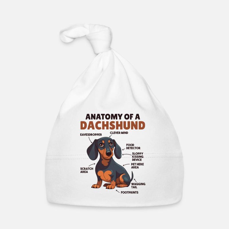 Anatomie d’explication du chien d’un teckel Bonnet bio Bébé