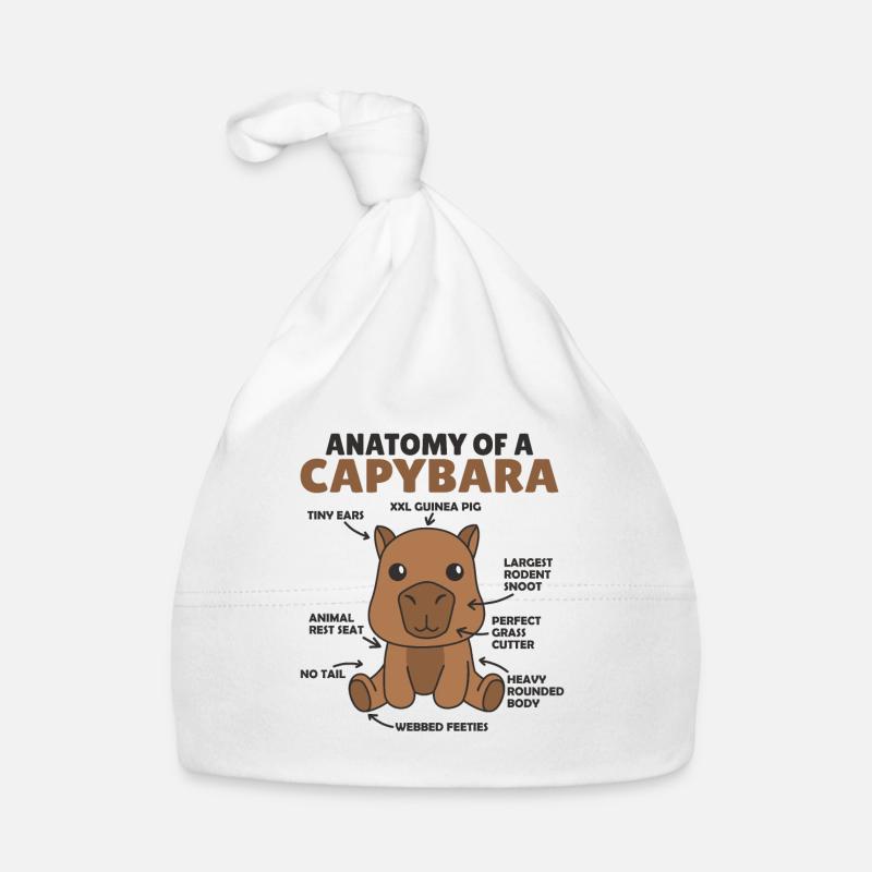 Explication du capybara doux Anatomie d’un capybara Bonnet bio Bébé