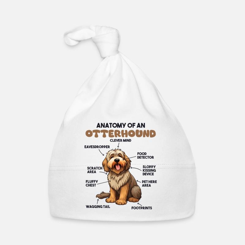 Explication du chien Anatomie d’un lévrier Bonnet bio Bébé