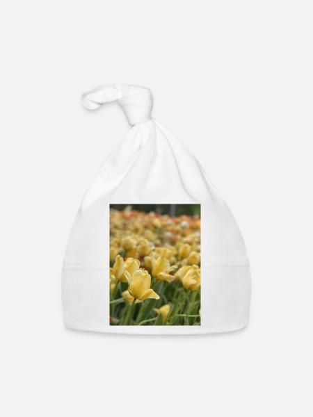 Tulipe Jaune mer - Bonnet bio Bébé - blanc - Devant