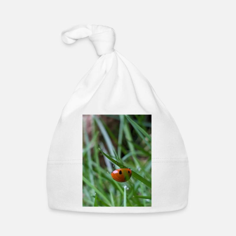 Close-up: Ladybug on grass Organic Baby Cap