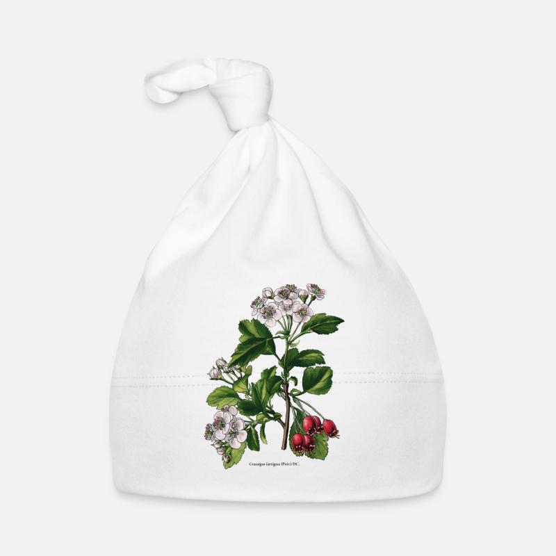 Bonnet bio Bébé