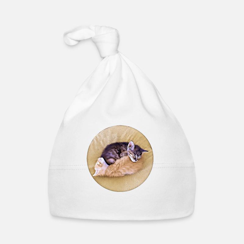 Zwei schlafende Tabby-Kätzchen, die sich gegenseitig halten Baby Bio-Mütze