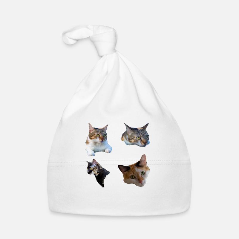 chat chatte chaton Bonnet bio Bébé