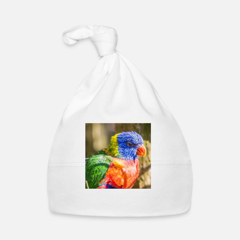 Regenbogenloris (Allfarblori, Trichoglossus) Baby Bio-Mütze