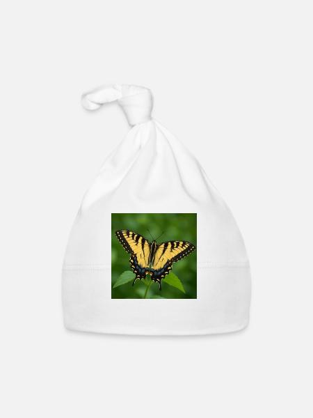 Eastern Tiger swallowtail - Organic Baby Cap - white - Front