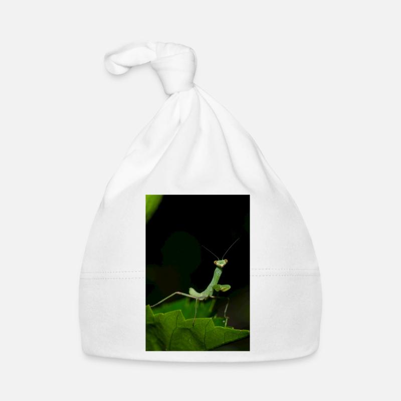 Espèces sauvages de Mantodea en Crète - Bonnet bio Bébé - blanc