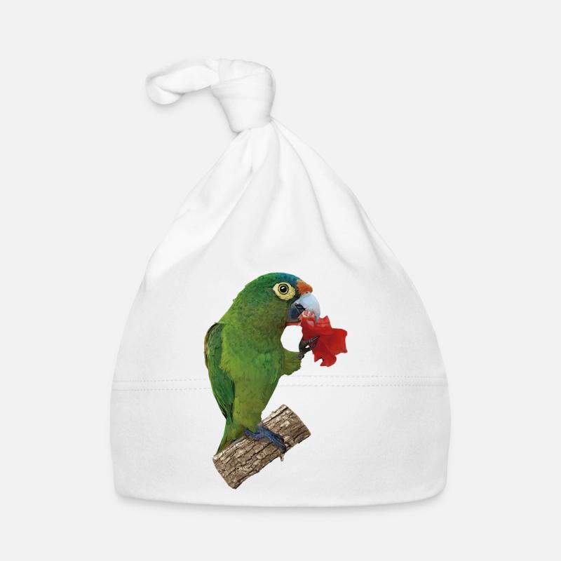 Orange-fronted parakeet Organic Baby Cap