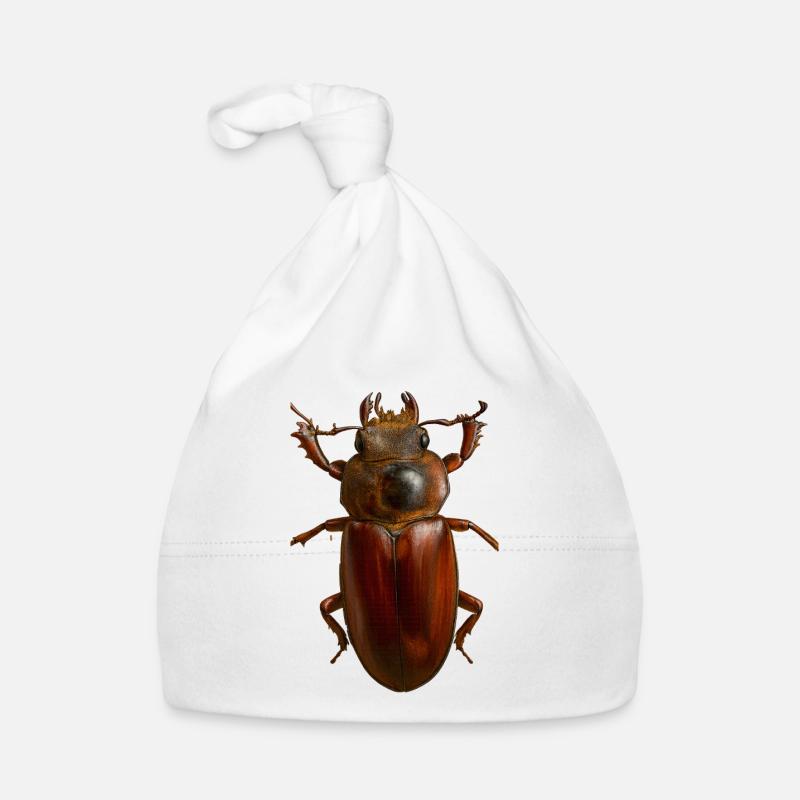 Bronze Bug Crest Organic Baby Cap