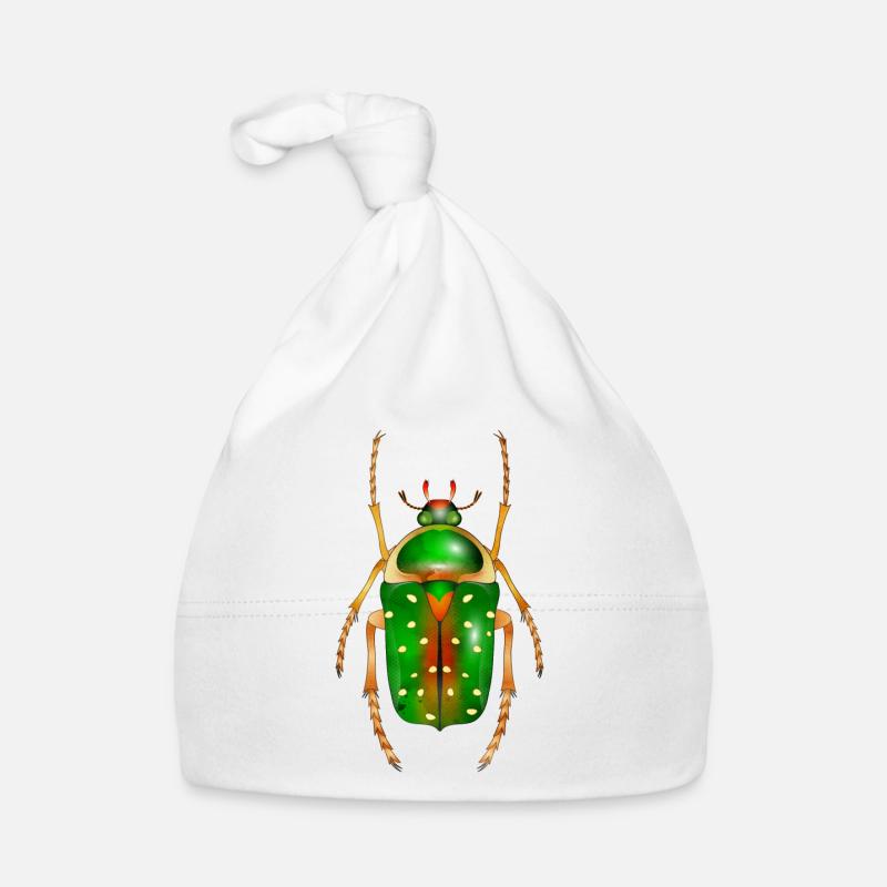Stephanorrhina guttata-bel insecte Bonnet bio Bébé