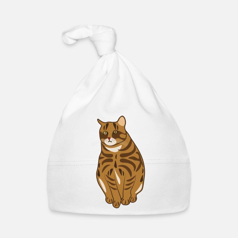 Chat Landrace Bonnet bio Bébé