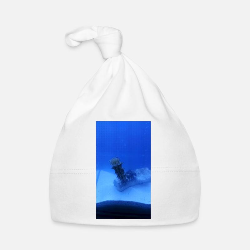 Lake Roller Organic Baby Cap