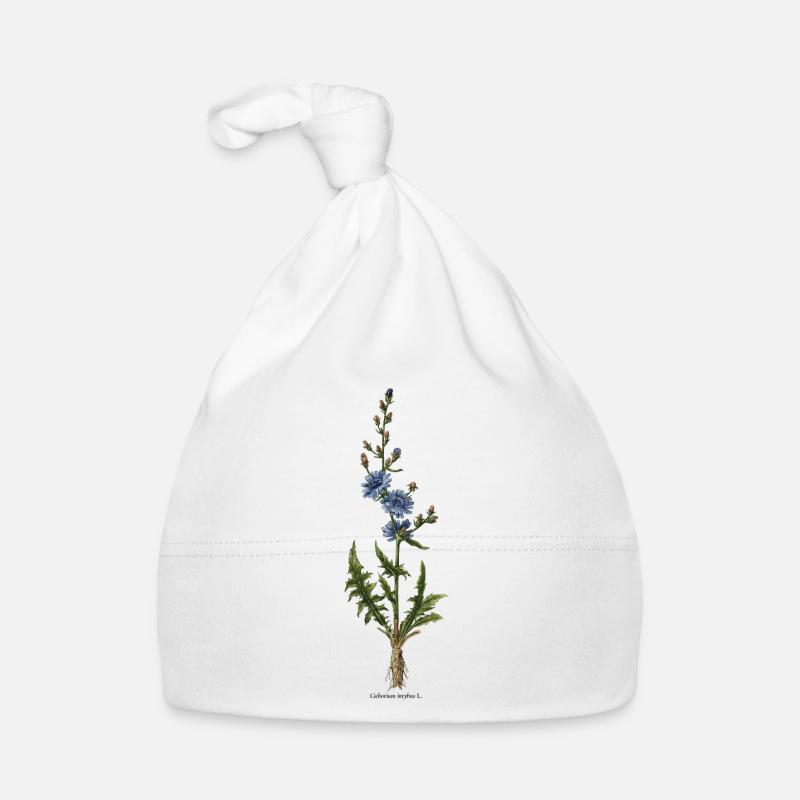 Chicory Organic Baby Cap
