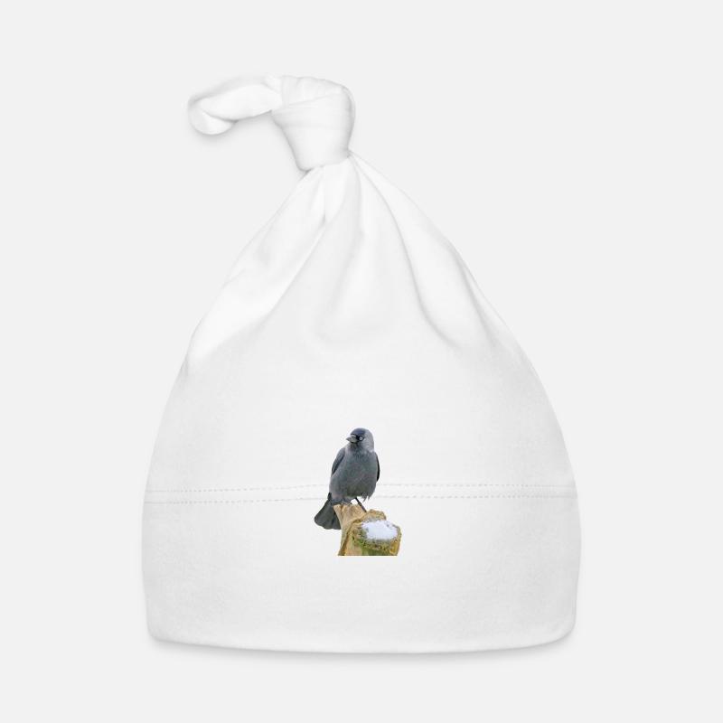 Jackdaw Organic Baby Cap