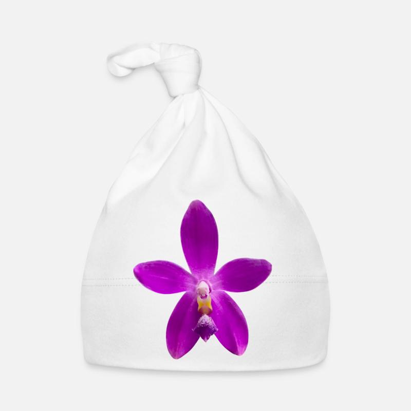 Orchidee Phalaenopsis speciosa x violacea Blüte Baby Bio-Mütze
