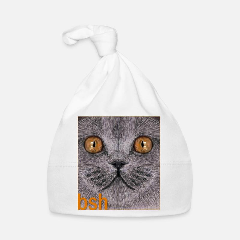 Britisch-Kurzhaar-Katze Baby Bio-Mütze