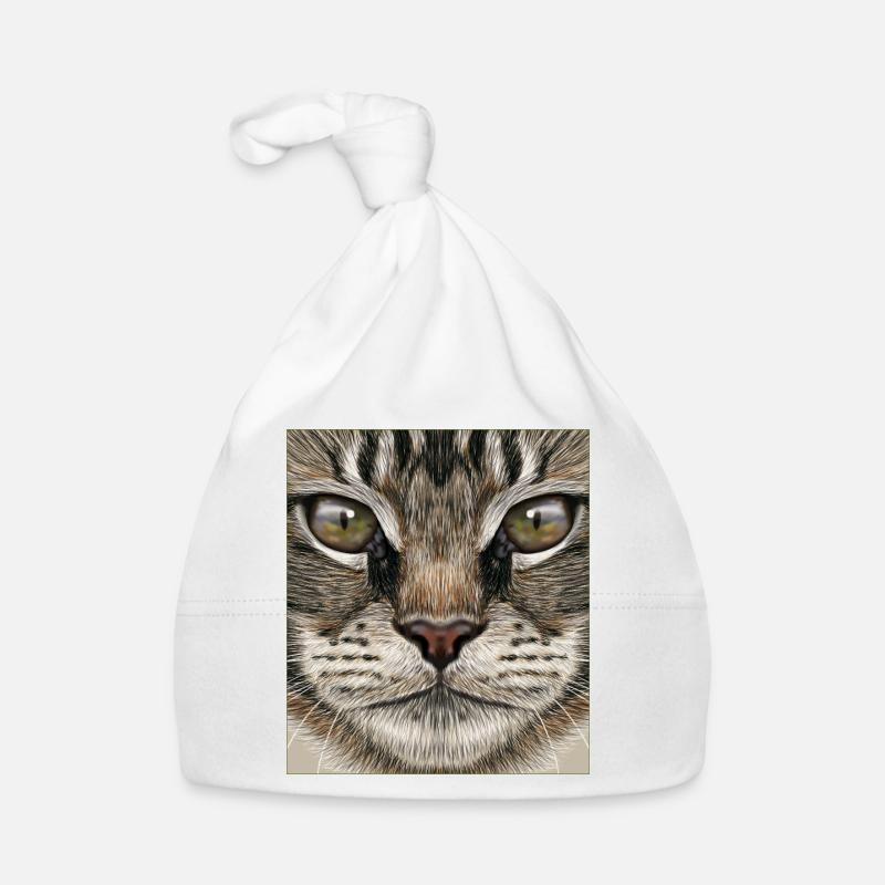 Chat Maine Coon Bonnet bio Bébé