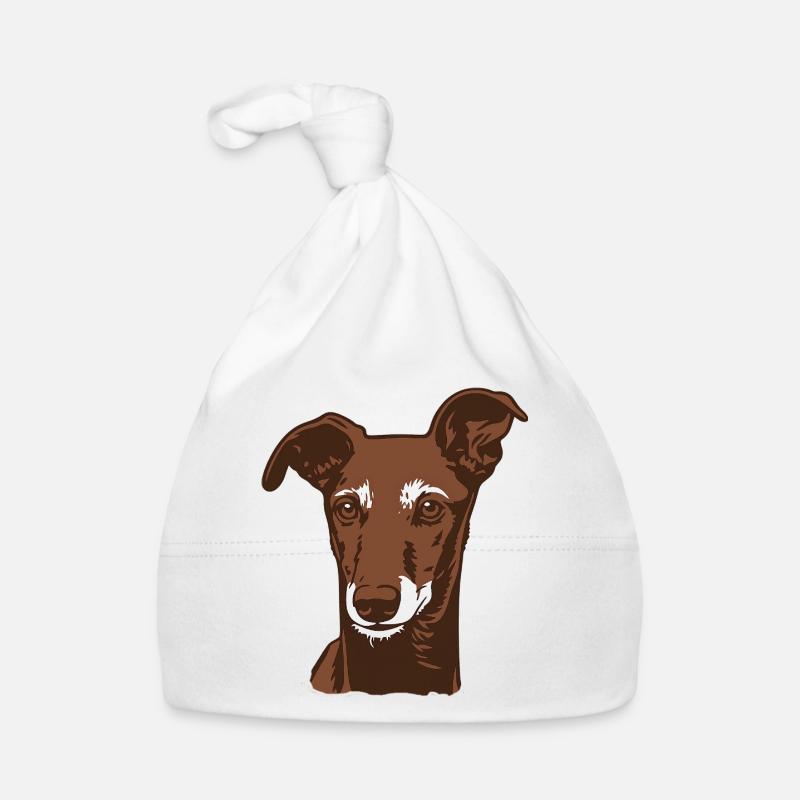 Galgo Español - Portrait - 20250603 - Bonnet bio Bébé - blanc