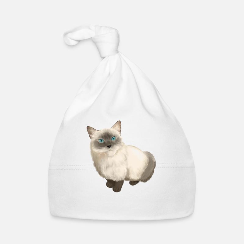 Ragdoll chat Bonnet bio Bébé