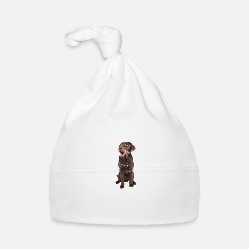 Anatomie eines Labradors Erklärungsbild Baby Bio-Mütze
