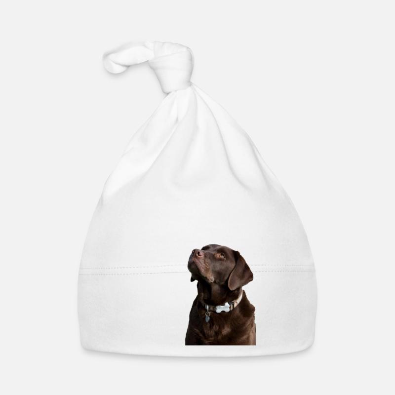 Die Gesetze eines Labradors Baby Bio-Mütze