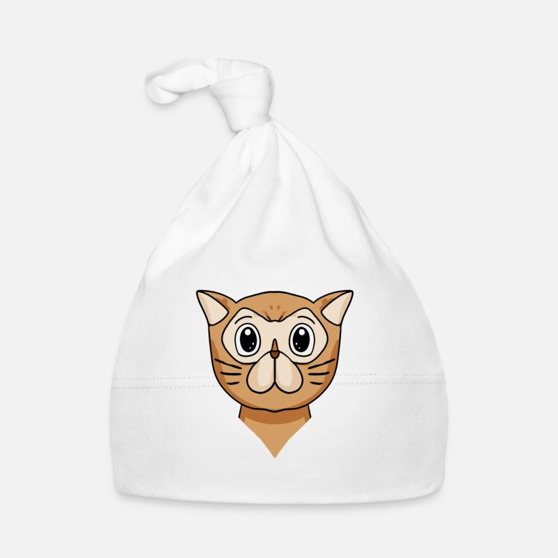 Chat persan Chat Race Chat Bonnet bio Bébé
