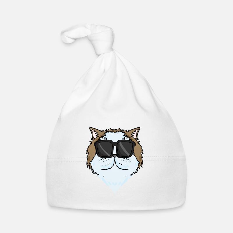 Cool Chat Persan Chat Race Chat Bonnet bio Bébé