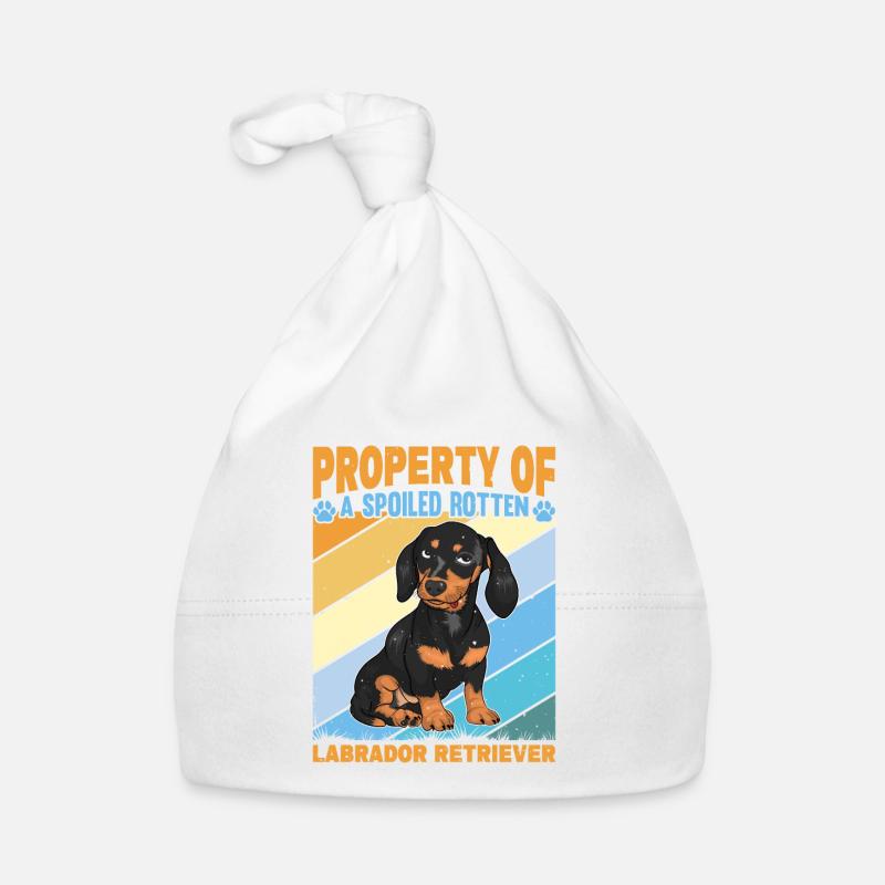 Propriété d’un Labrador Retriever pourri gâté Bonnet bio Bébé