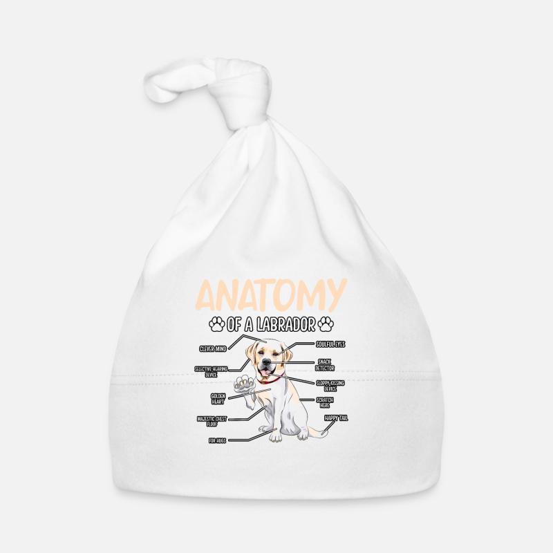 Anatomie du Labrador Bonnet bio Bébé