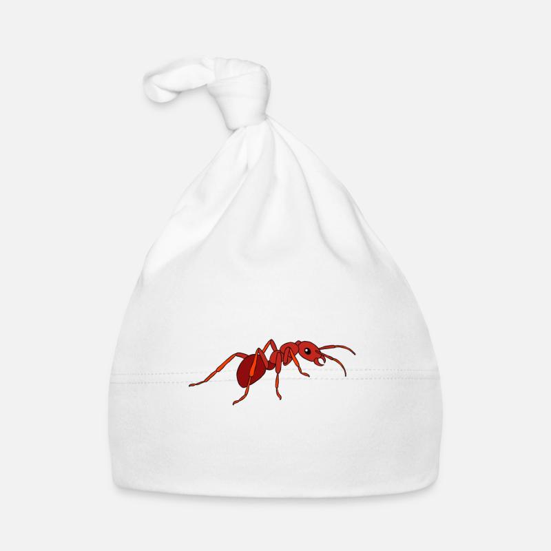 Fourmis fourmilières d’élevage de fourmis Bonnet bio Bébé
