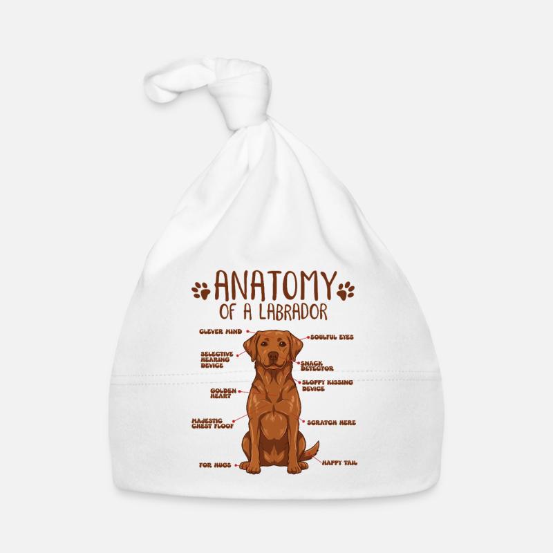 Anatomie eines Fox Red Labradors Baby Bio-Mütze