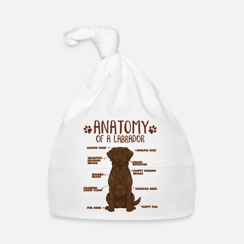 Anatomie eines braunen Labradors Baby Bio-Mütze