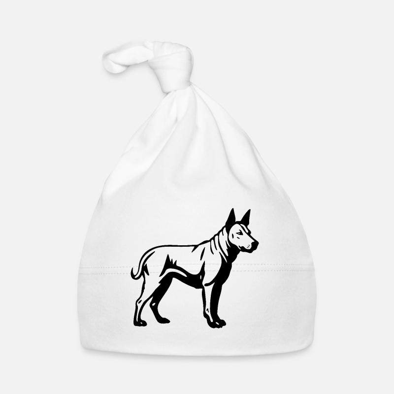 Bull Terrier Chien Bonnet bio Bébé