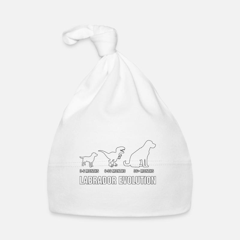 Évolution du Labrador Bonnet bio Bébé