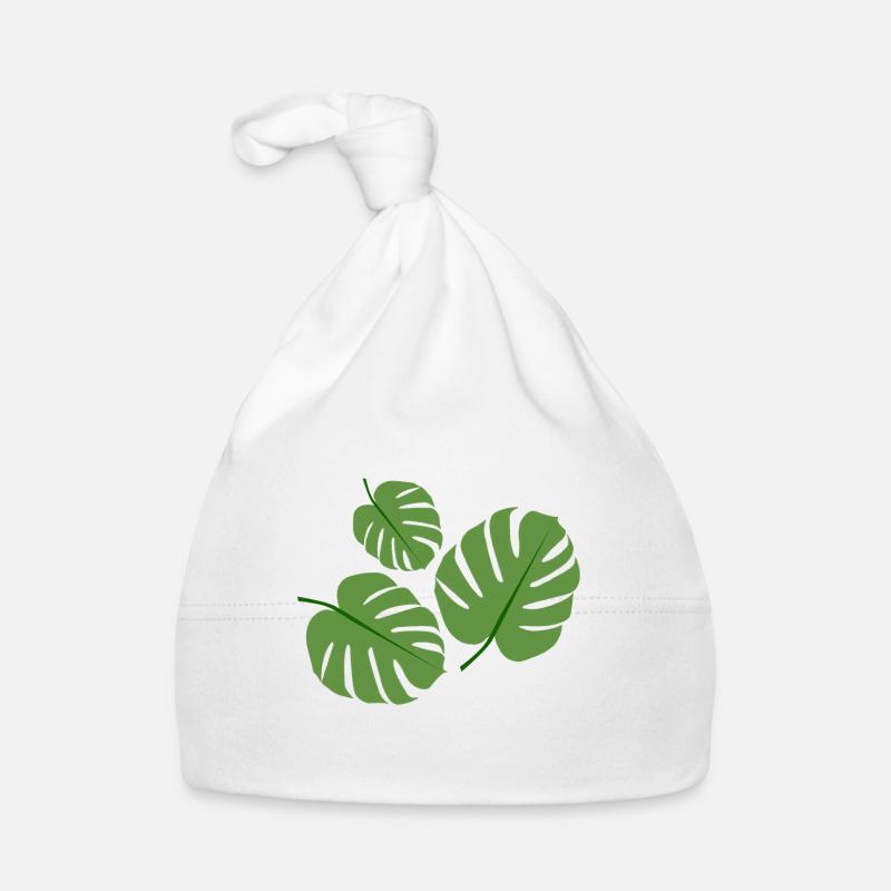 Usine de Monstera Bonnet bio Bébé
