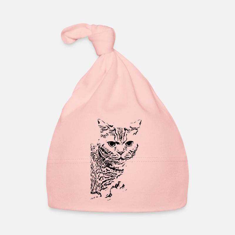 British Shorthair Chat Chat Noir Chats Bonnet bio Bébé