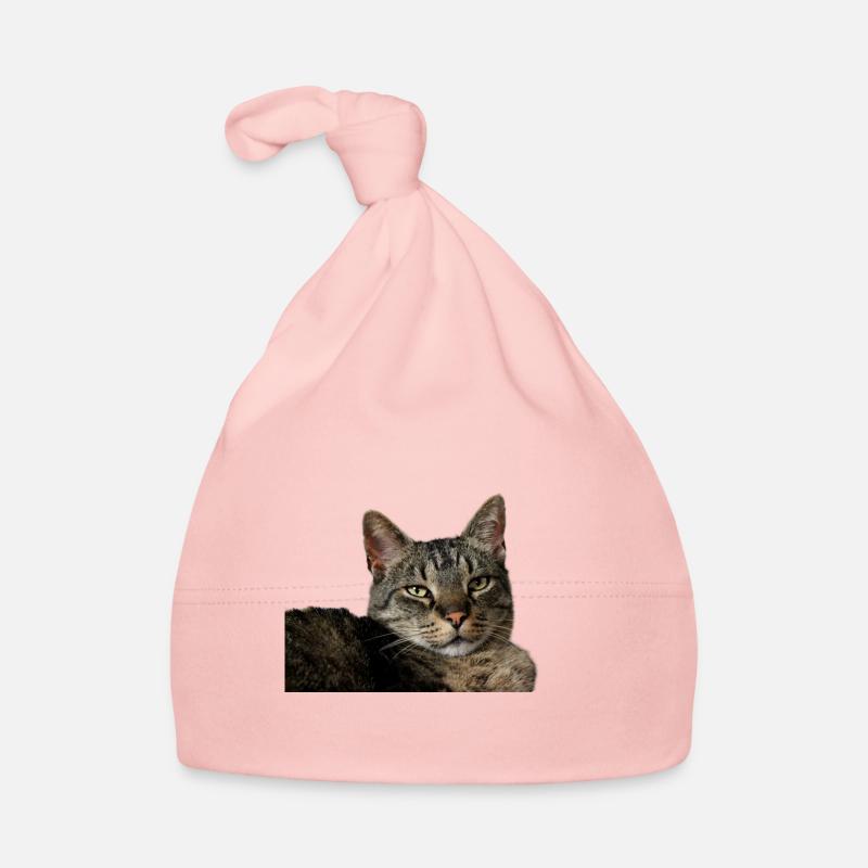 Chaton Chaton Bonnet bio Bébé