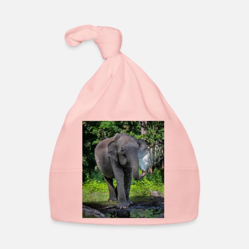 Beautiful Elephant Organic Baby Cap