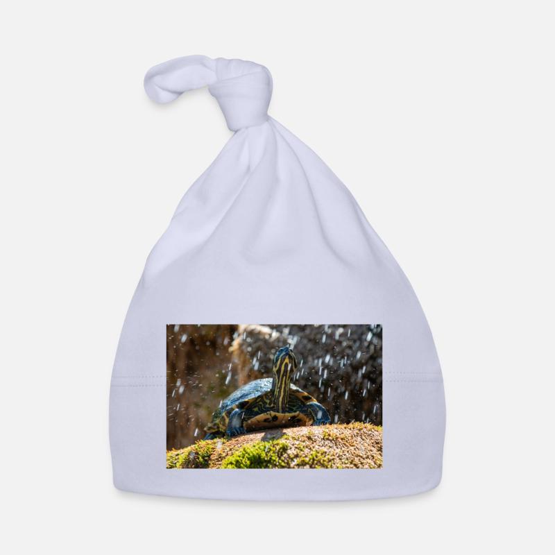 Trachemys scripta scripta scripta Bonnet bio Bébé