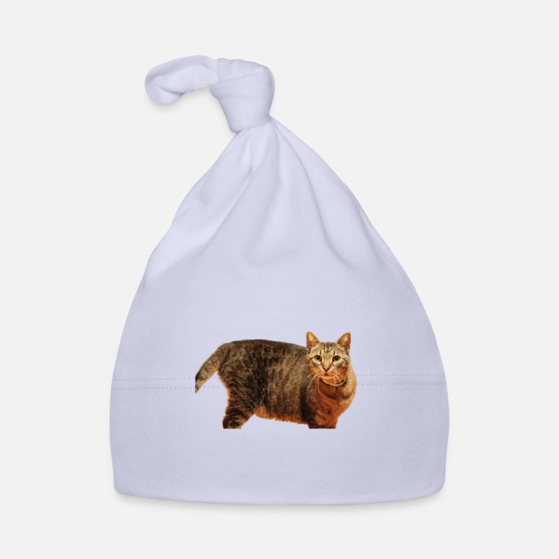 Chaton Chaton Bonnet bio Bébé