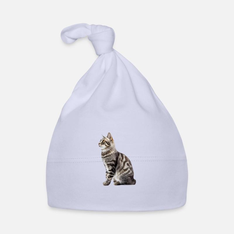 Chat Manx Bonnet bio Bébé