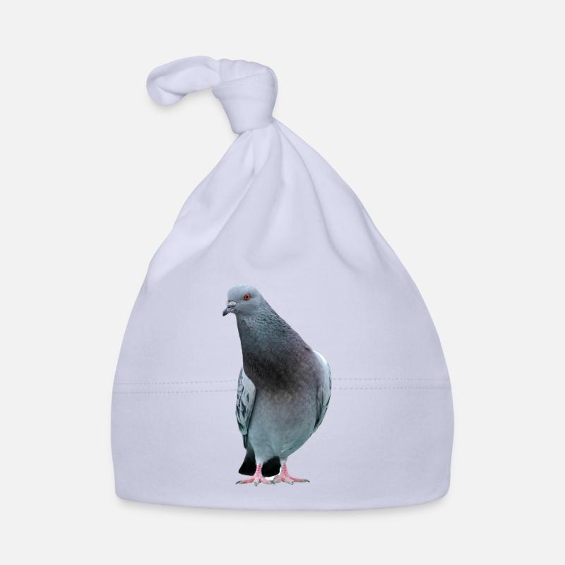Colombe. Colombe Bonnet bio Bébé