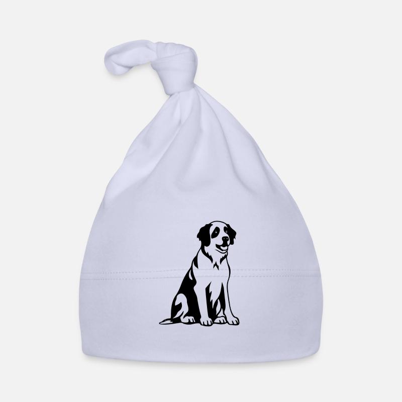 Chien Saint-Bernard Bonnet bio Bébé