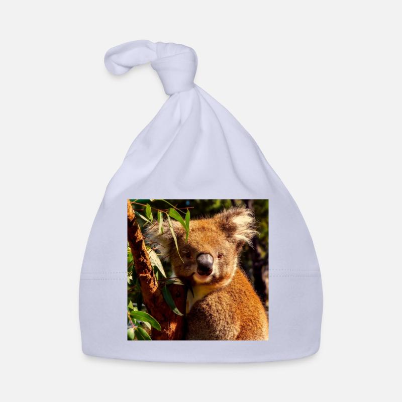 koala Bonnet bio Bébé