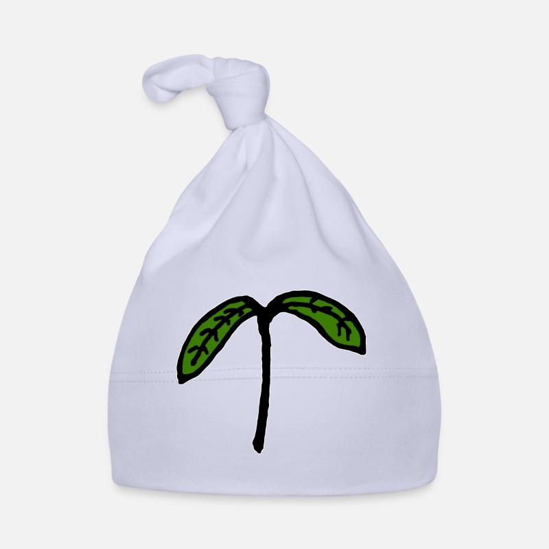 Jeune plante de semis germés Bonnet bio Bébé