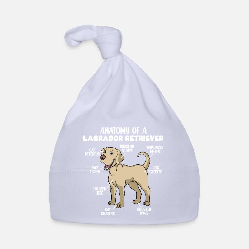 Anatomie d’un Labrador Retriever Bonnet bio Bébé