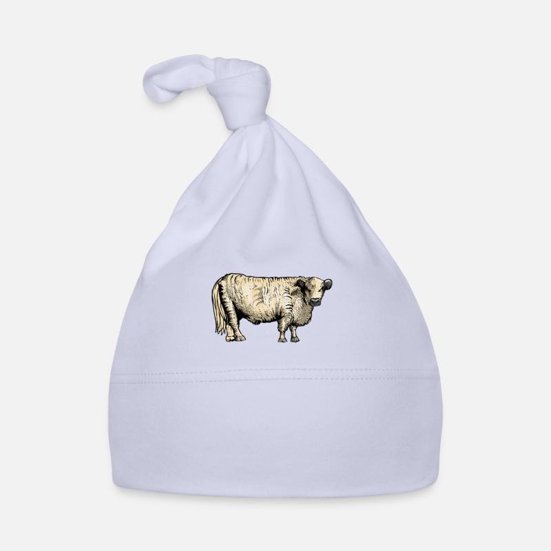 Bovins Galloway I Ecosse élevage bovin pour Bonnet bio Bébé