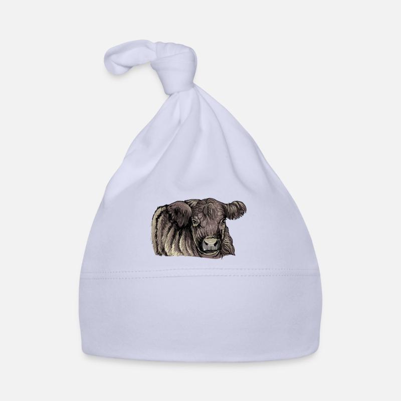 Bovins Galloway I Ecosse élevage bovin pour Bonnet bio Bébé