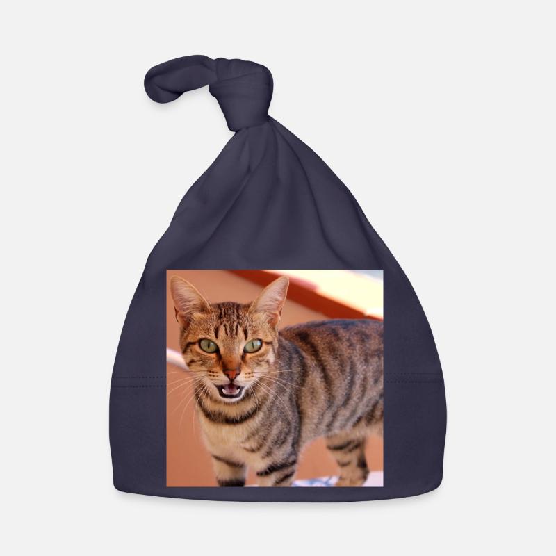 Cat Kitten Poster Square Cat Poster Organic Baby Cap