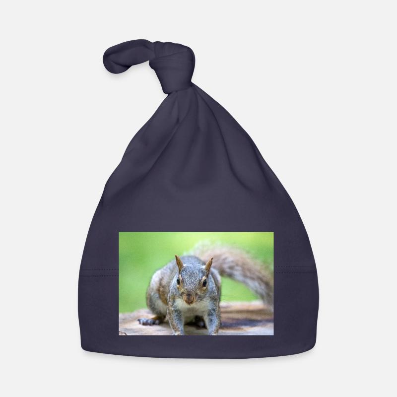 Grey squirrel Grauhörnchen Sciurus carolinensis Organic Baby Cap